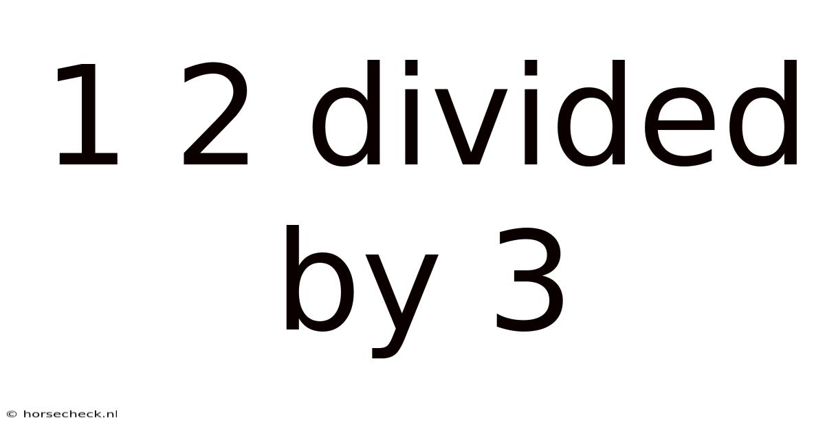 1 2 Divided By 3