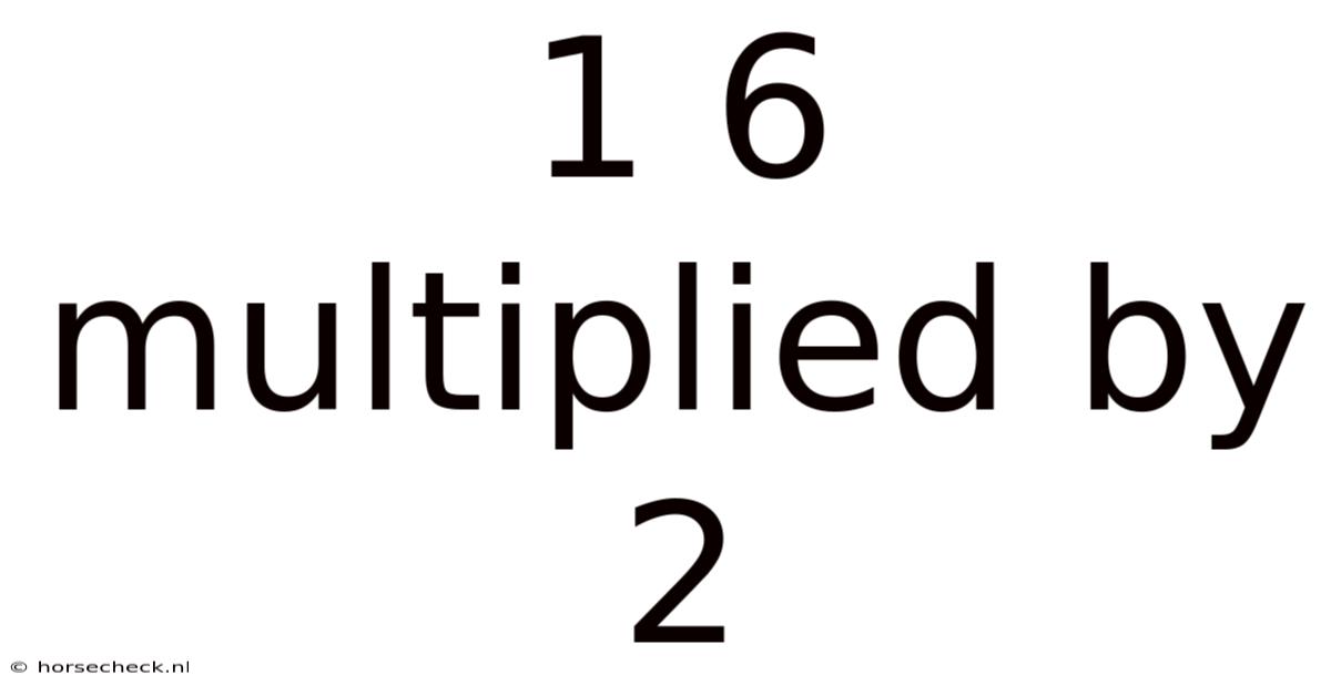 1 6 Multiplied By 2