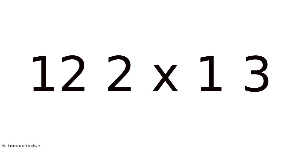 12 2 X 1 3