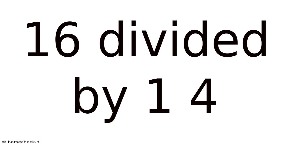 16 Divided By 1 4