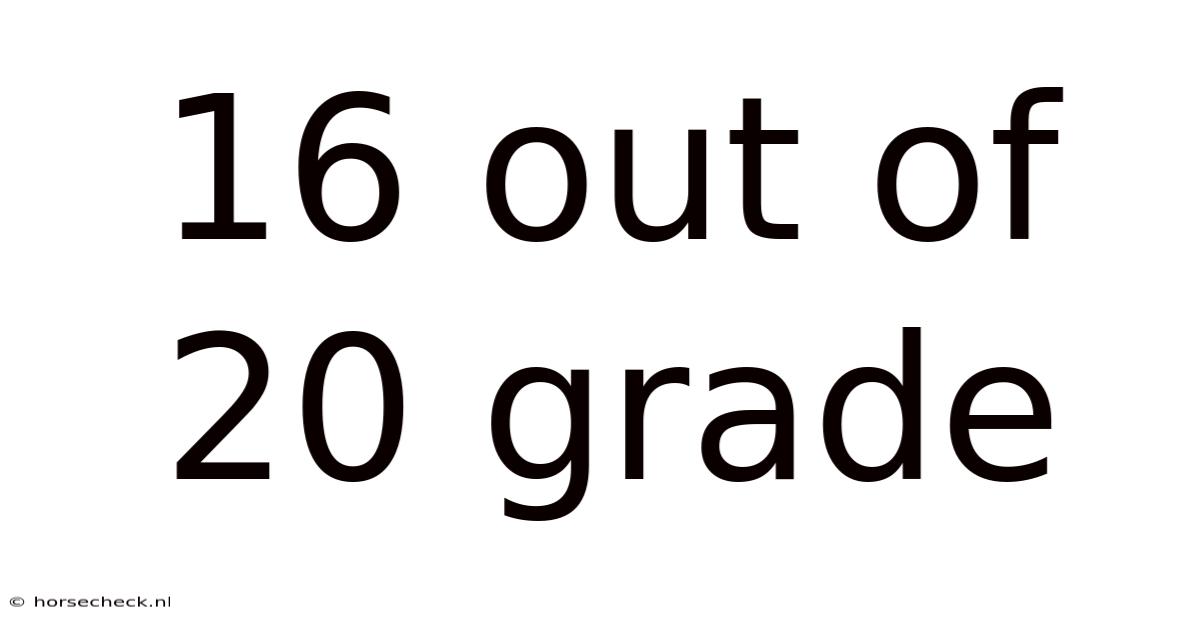 16 Out Of 20 Grade