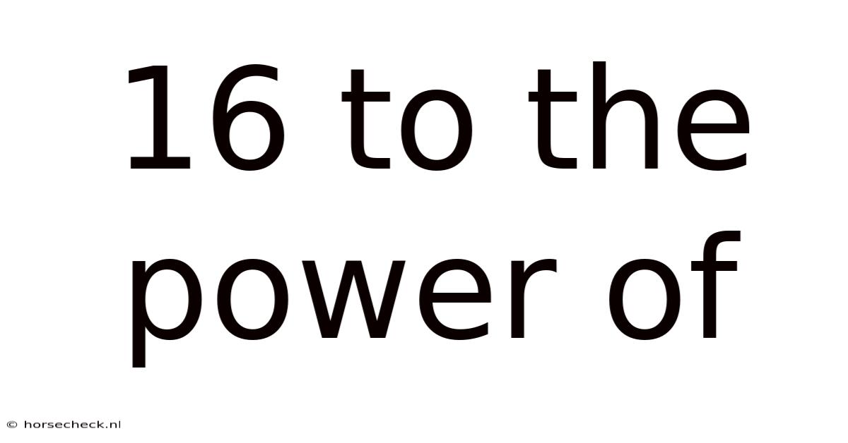 16 To The Power Of