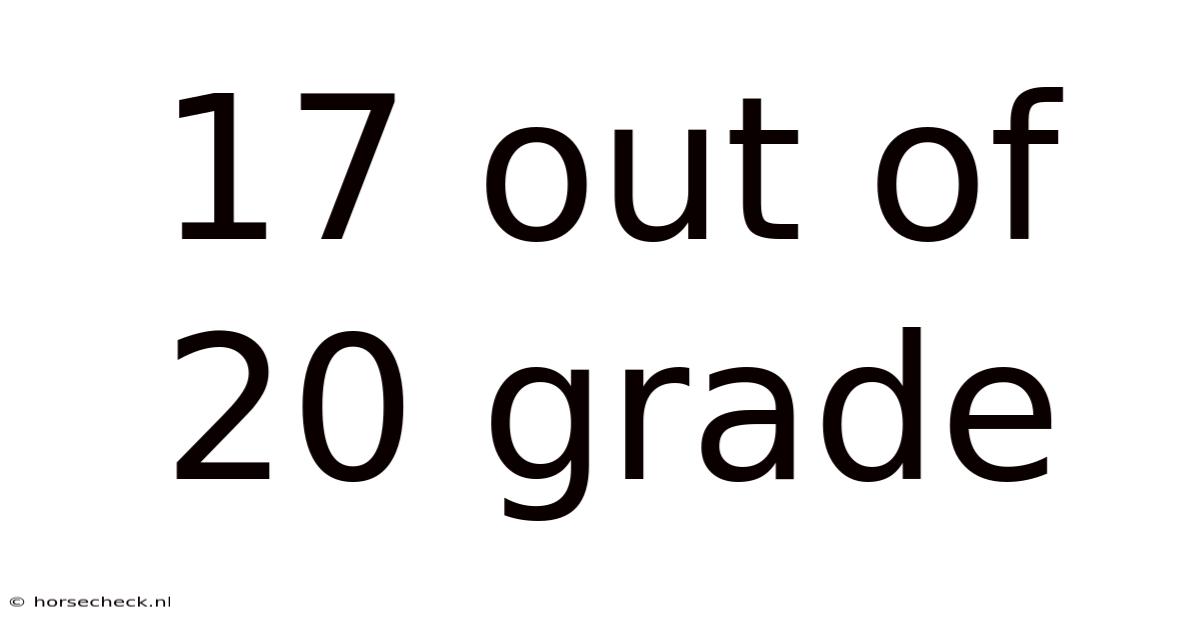 17 Out Of 20 Grade