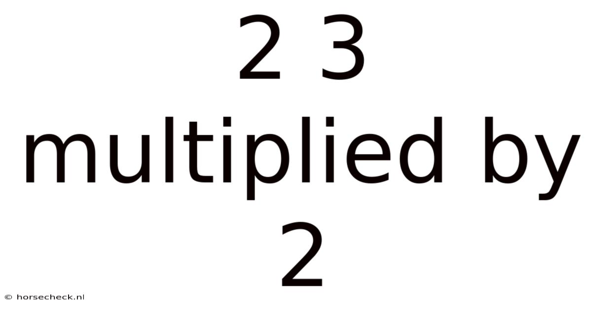 2 3 Multiplied By 2