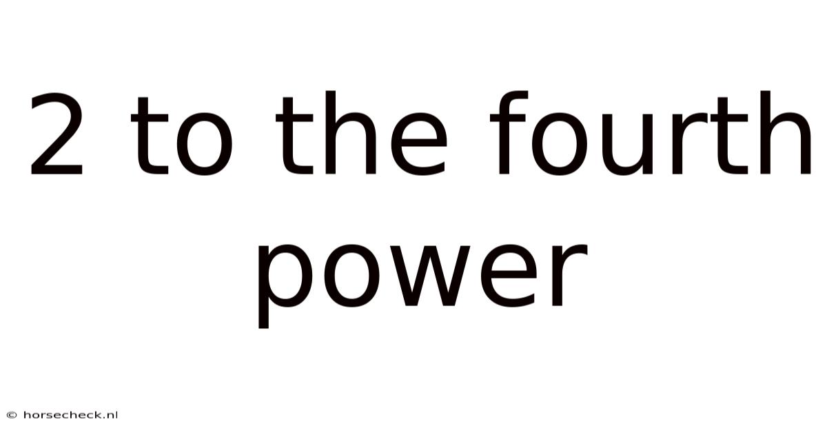 2 To The Fourth Power