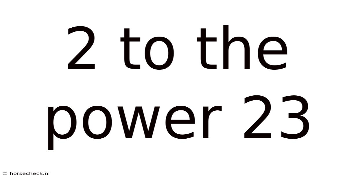 2 To The Power 23