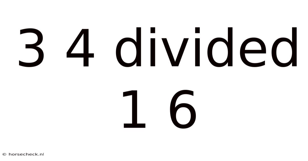 3 4 Divided 1 6