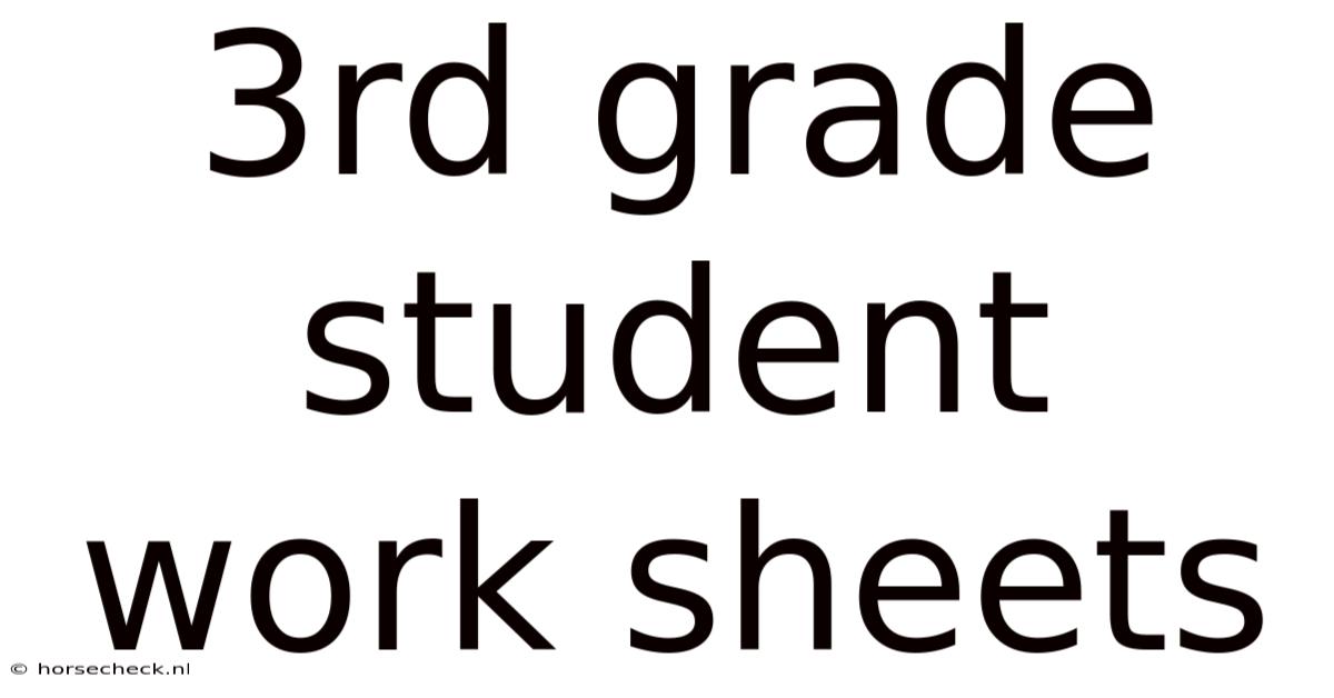 3rd Grade Student Work Sheets