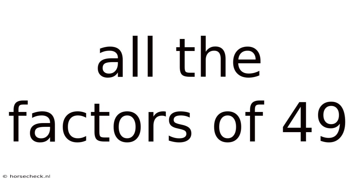 All The Factors Of 49