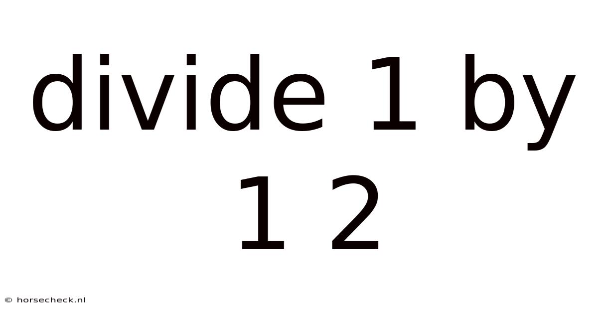 Divide 1 By 1 2