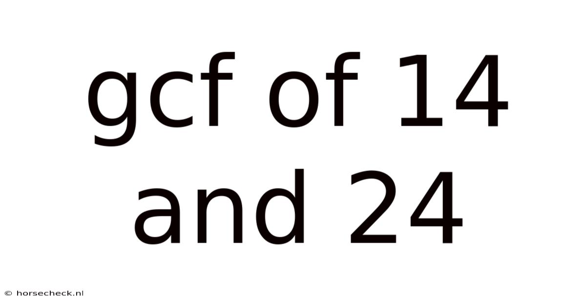 Gcf Of 14 And 24