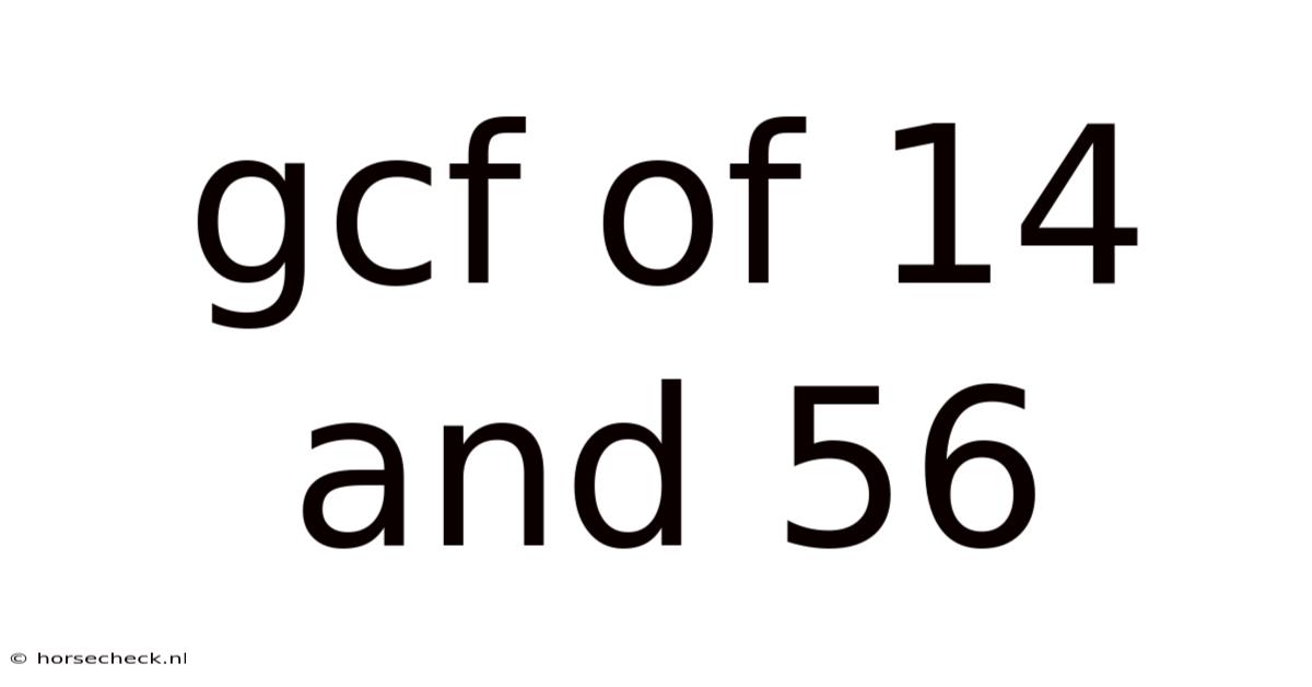 Gcf Of 14 And 56