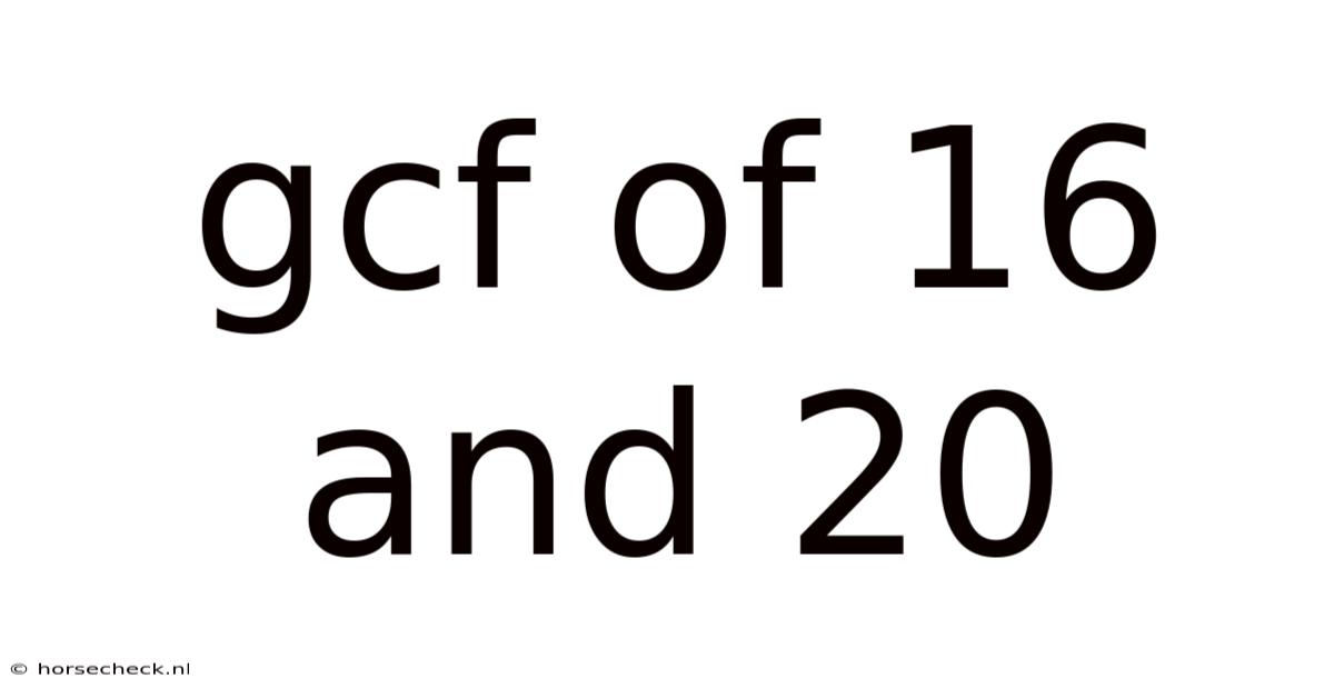 Gcf Of 16 And 20