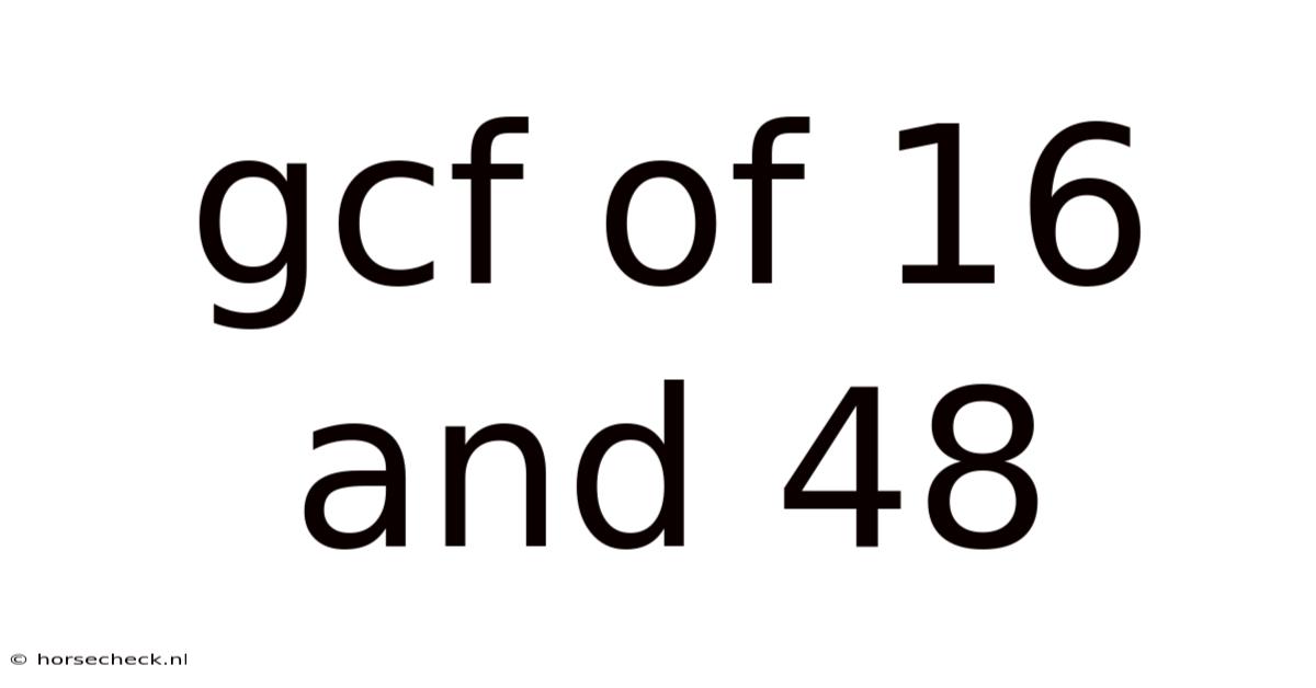 Gcf Of 16 And 48