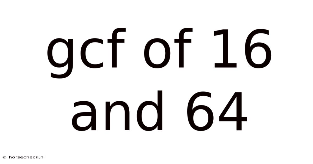 Gcf Of 16 And 64