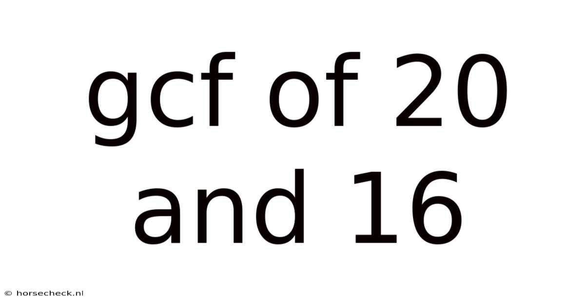 Gcf Of 20 And 16