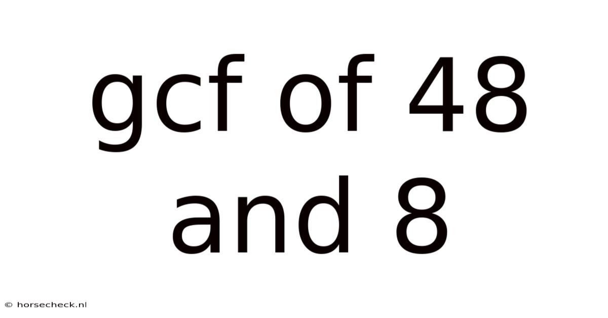 Gcf Of 48 And 8