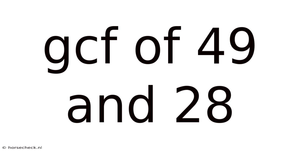 Gcf Of 49 And 28