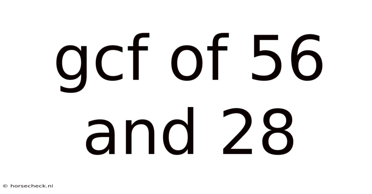 Gcf Of 56 And 28