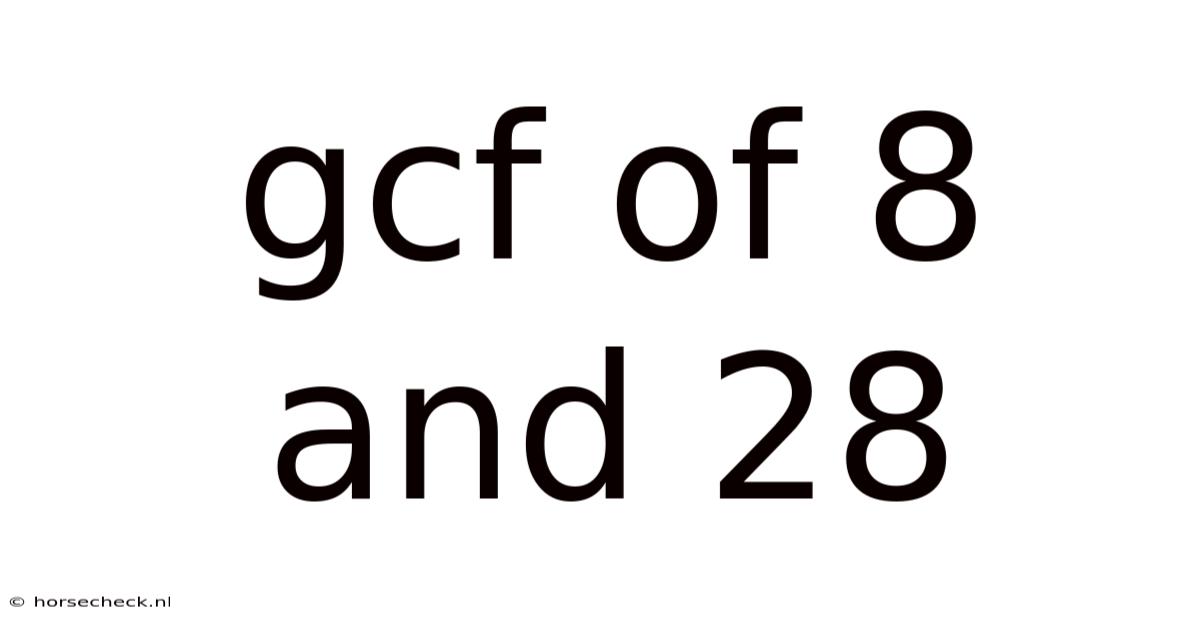 Gcf Of 8 And 28