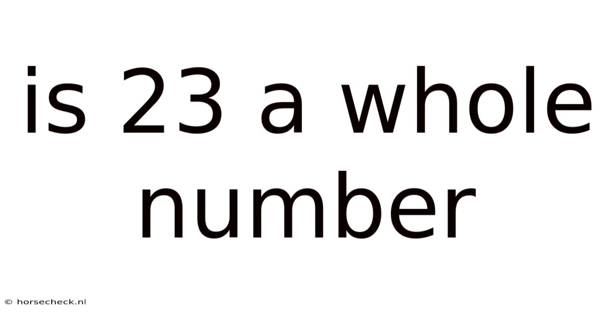 Is 23 A Whole Number
