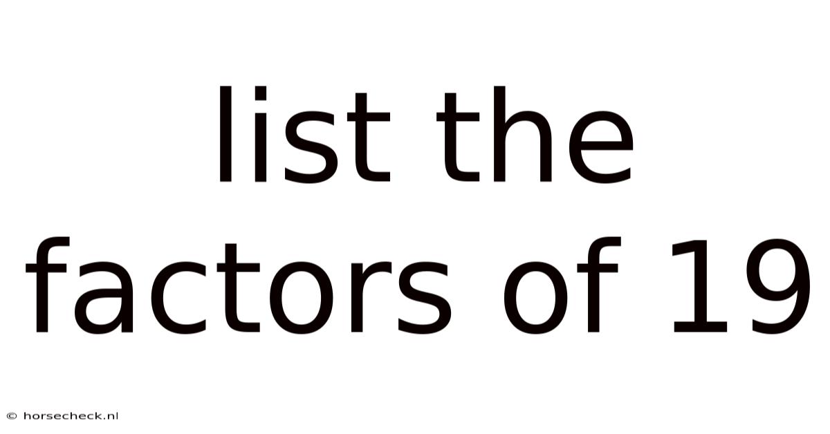 List The Factors Of 19