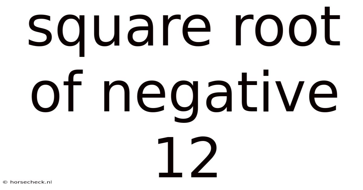 Square Root Of Negative 12