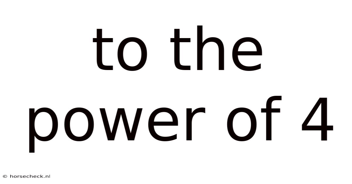 To The Power Of 4