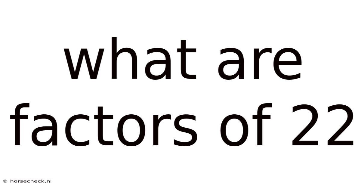 What Are Factors Of 22