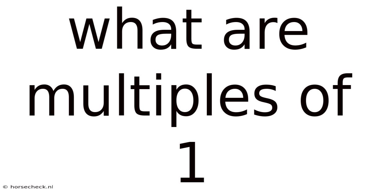 What Are Multiples Of 1