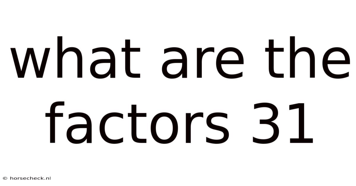 What Are The Factors 31