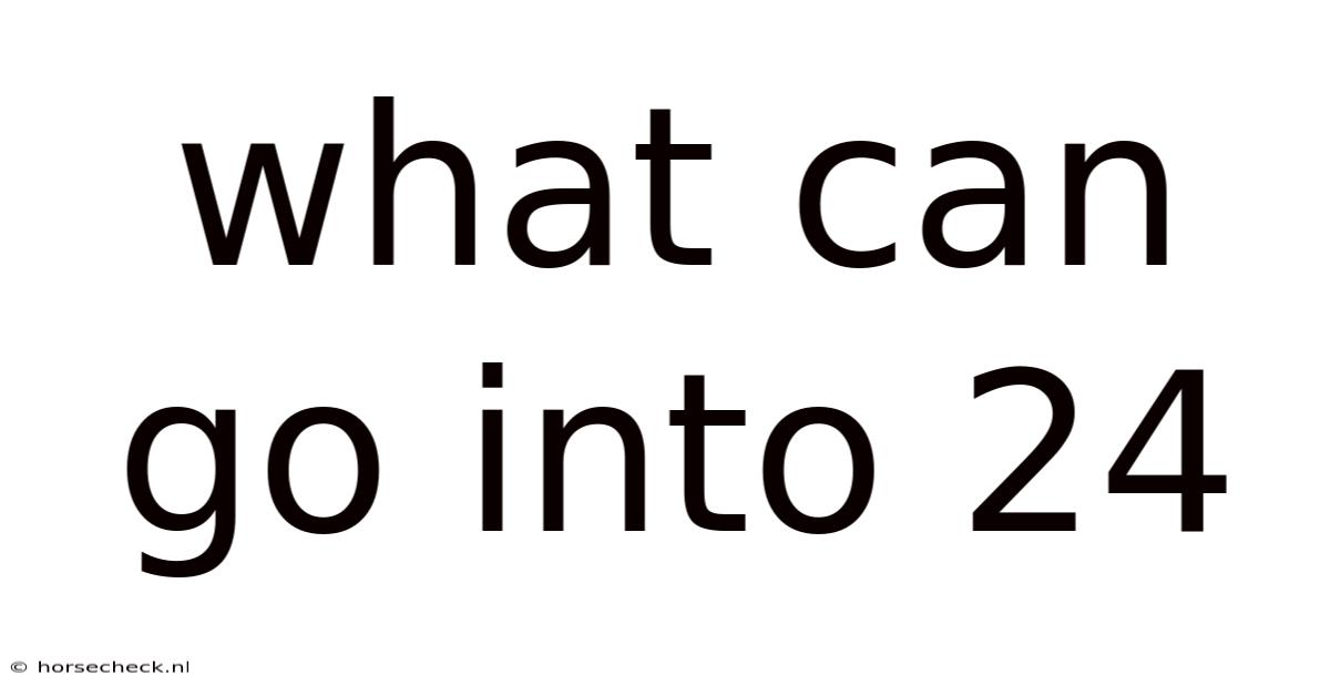 What Can Go Into 24