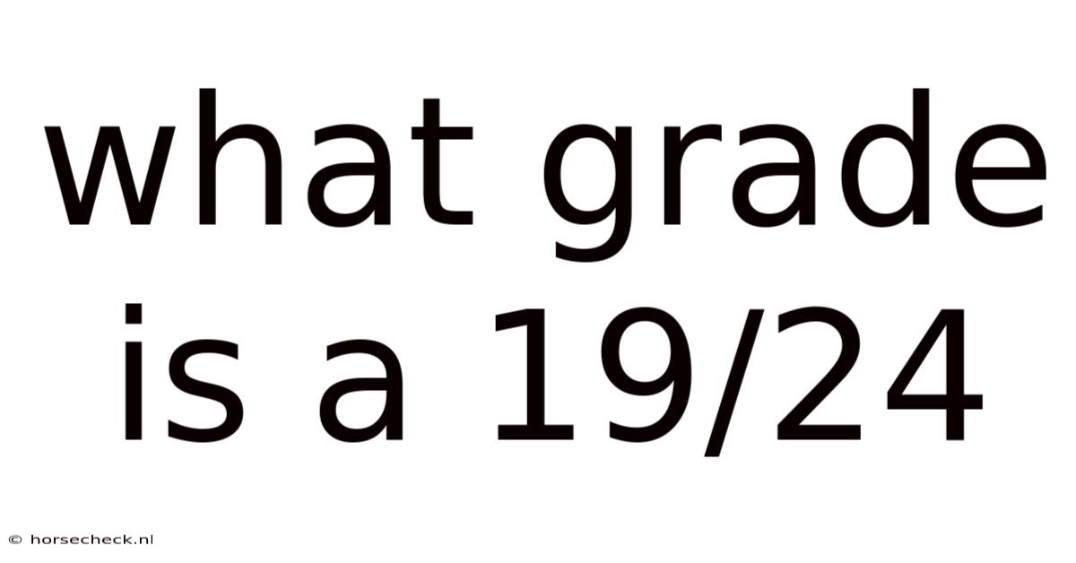 What Grade Is A 19/24