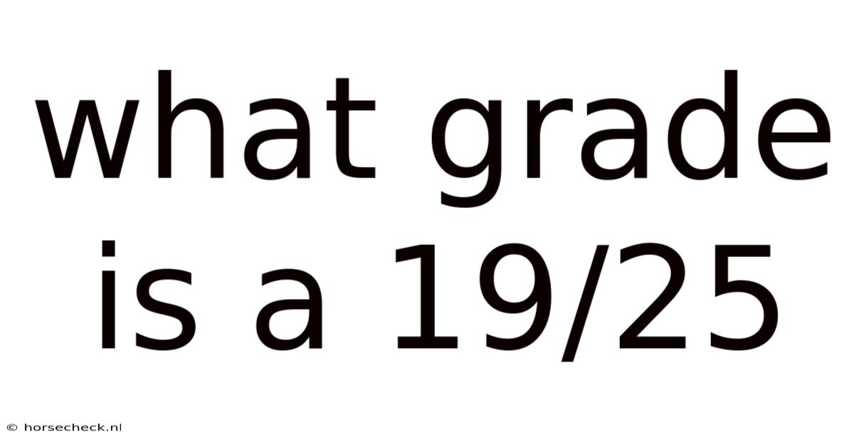 What Grade Is A 19/25