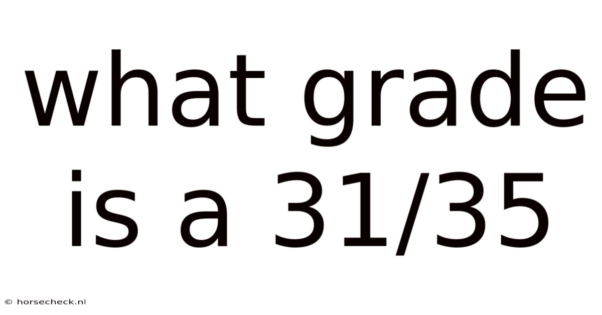 What Grade Is A 31/35