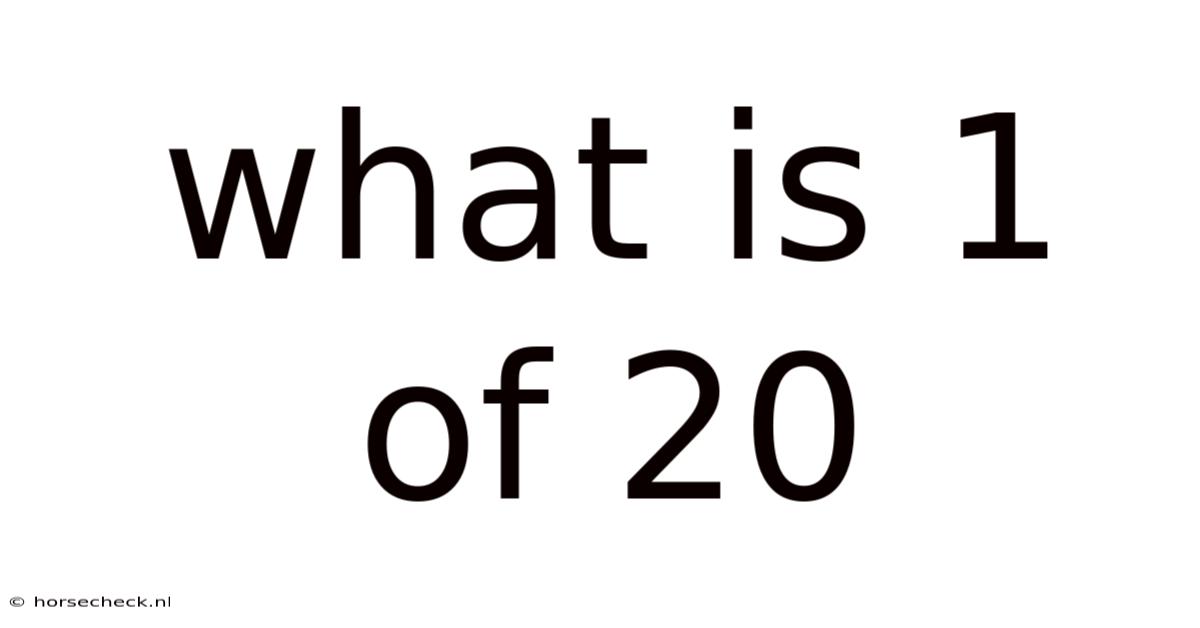 What Is 1 Of 20