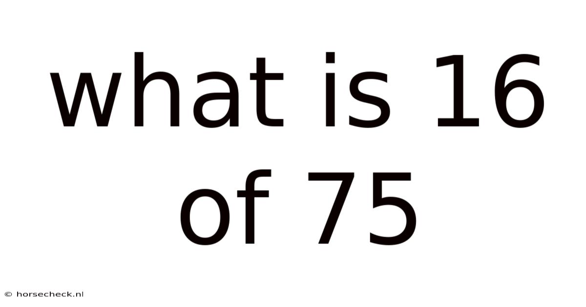 What Is 16 Of 75