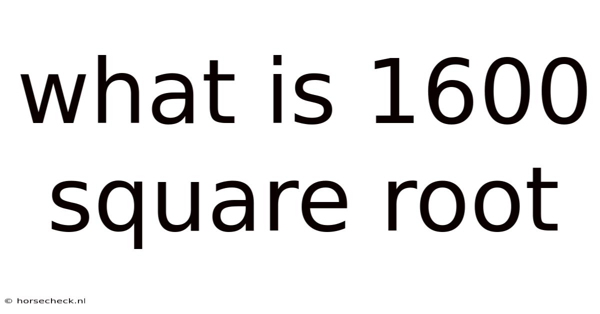 What Is 1600 Square Root