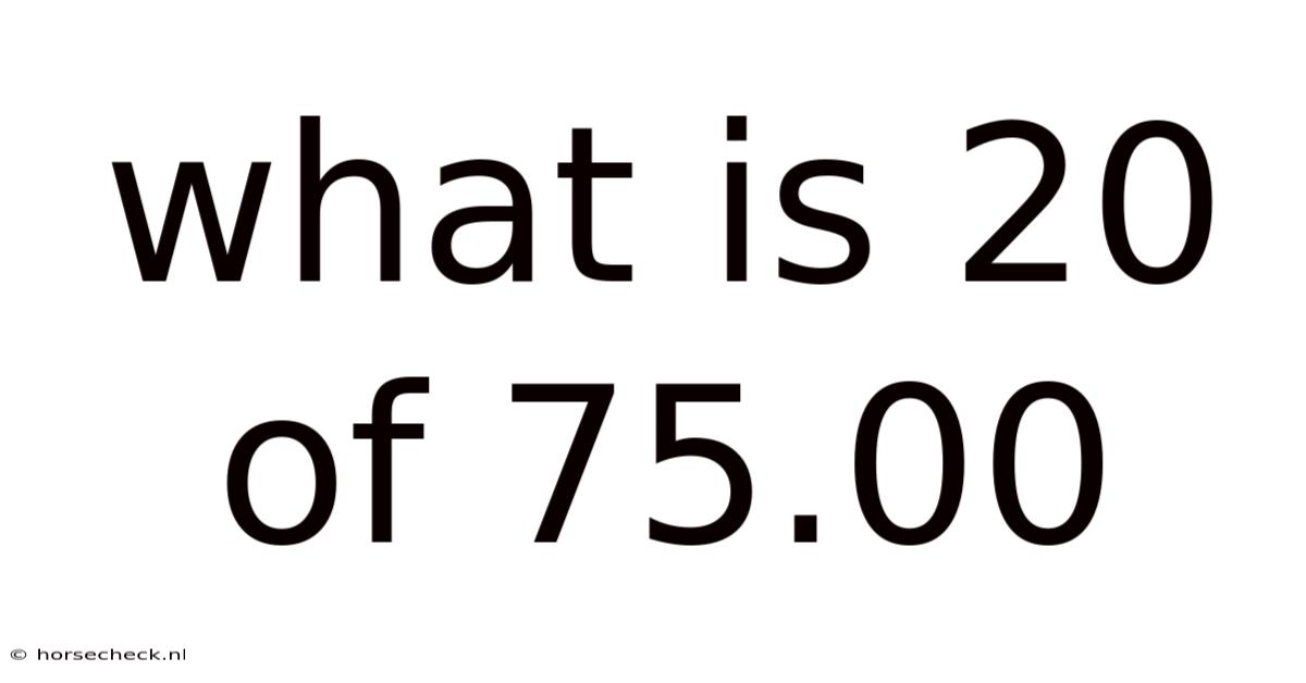 What Is 20 Of 75.00