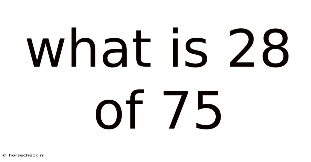 What Is 28 Of 75