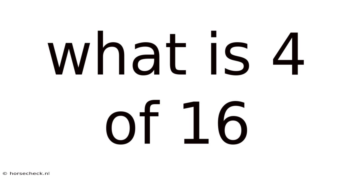 What Is 4 Of 16
