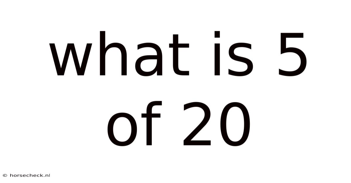 What Is 5 Of 20