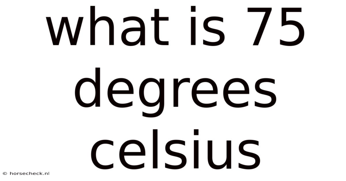 What Is 75 Degrees Celsius