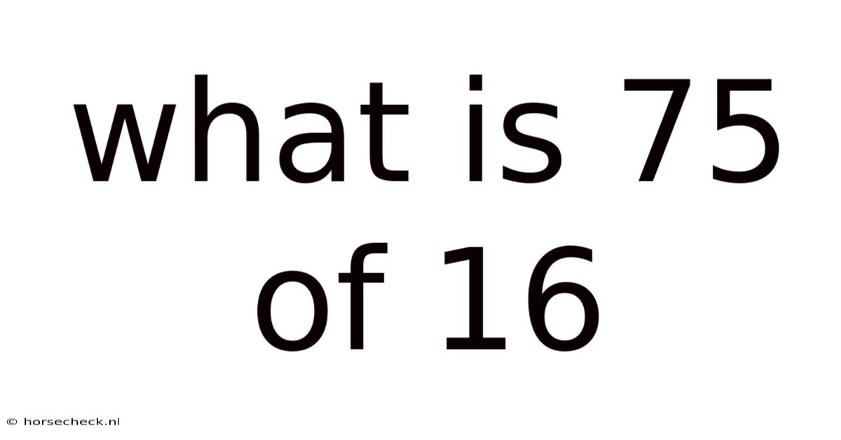 What Is 75 Of 16