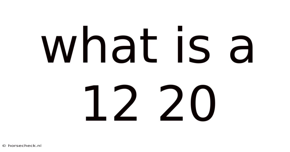 What Is A 12 20