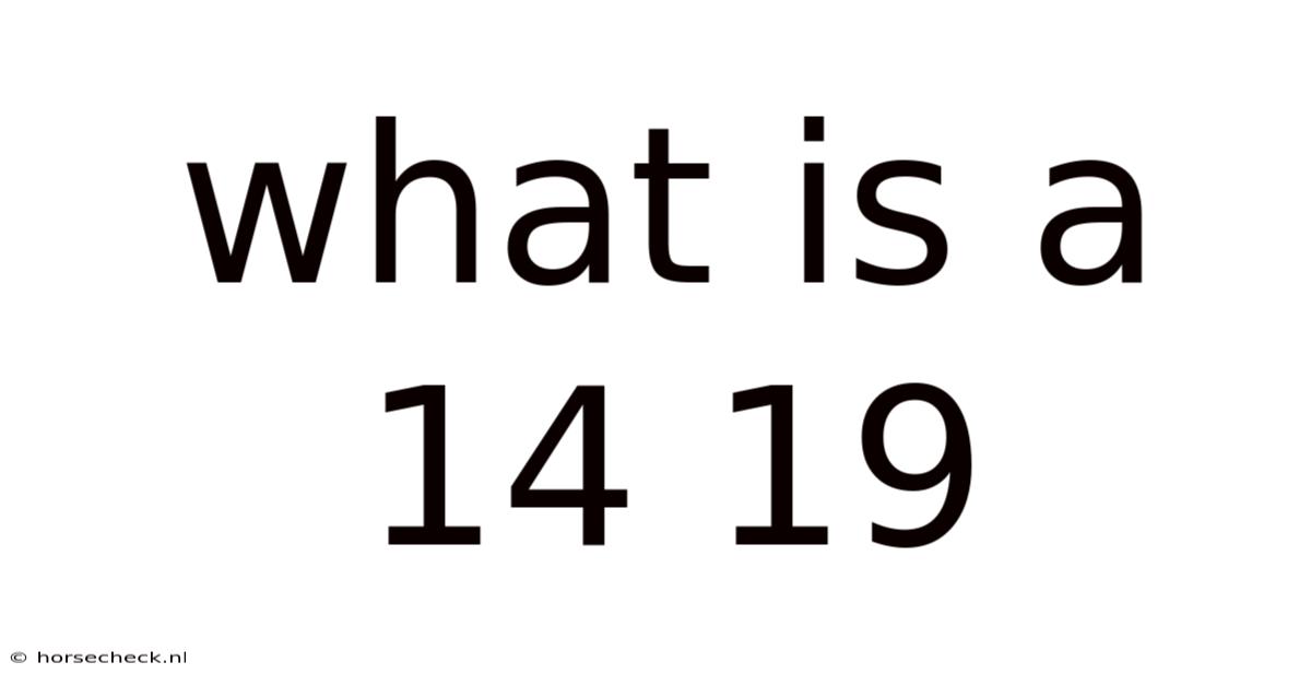 What Is A 14 19