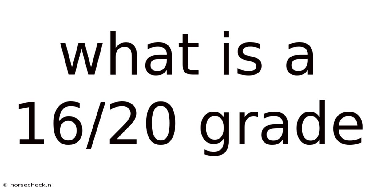 What Is A 16/20 Grade