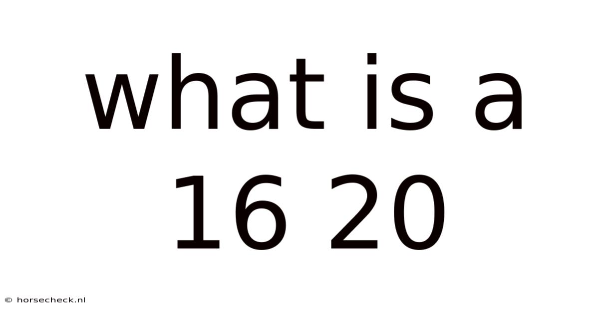 What Is A 16 20
