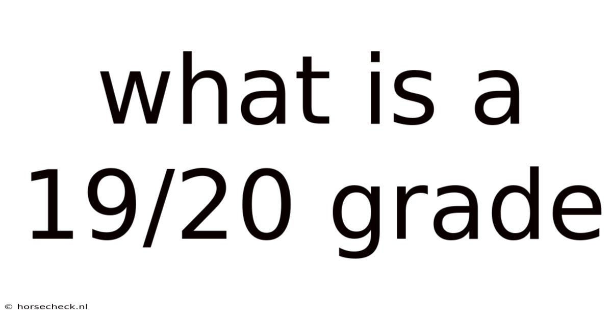 What Is A 19/20 Grade