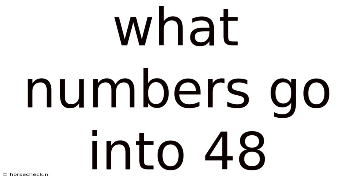 What Numbers Go Into 48